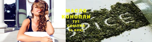 стаф Заводоуковск