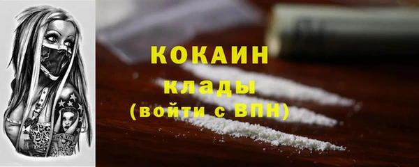 стаф Заводоуковск