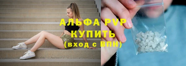 стаф Заводоуковск
