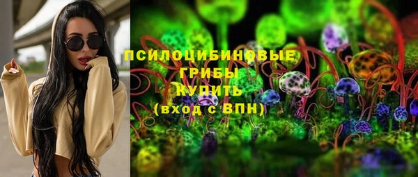 стаф Заводоуковск
